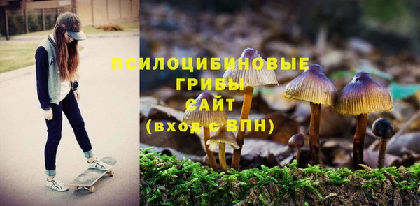 героин Новодвинск