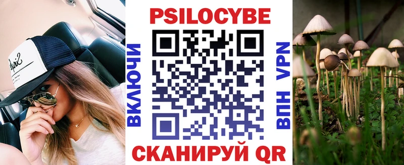 купить  цена  shop как зайти  Псилоцибиновые грибы GOLDEN TEACHER  Асино 